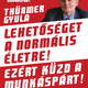 Illustration for article titled A munkáspárt megmondta a frankót!